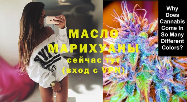 гашик Бородино