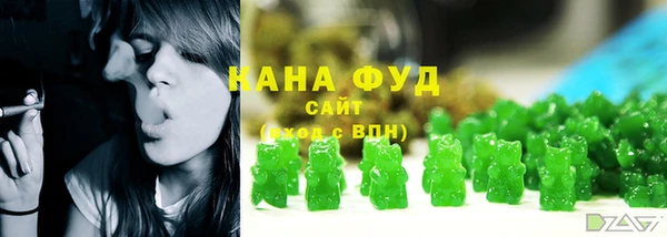 гашик Бородино