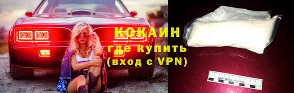 ешки Бронницы