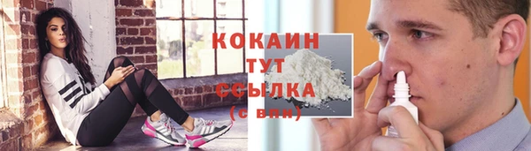 ешки Бронницы