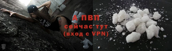 гашик Бородино