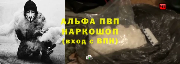 гашик Бородино