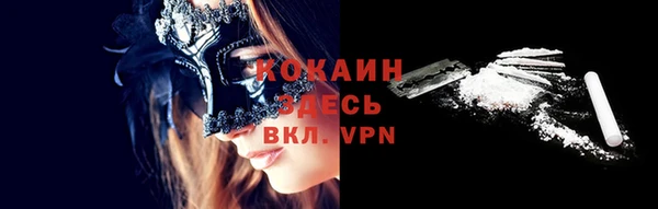 гашик Бородино
