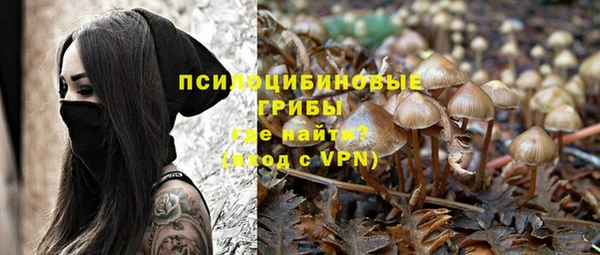 ешки Бронницы