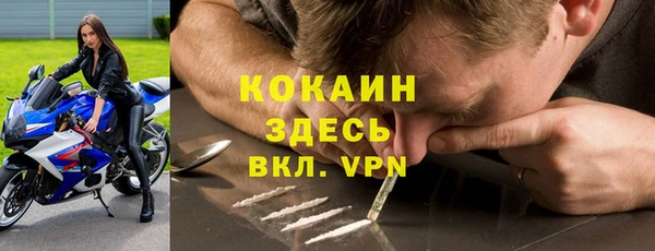 ешки Бронницы