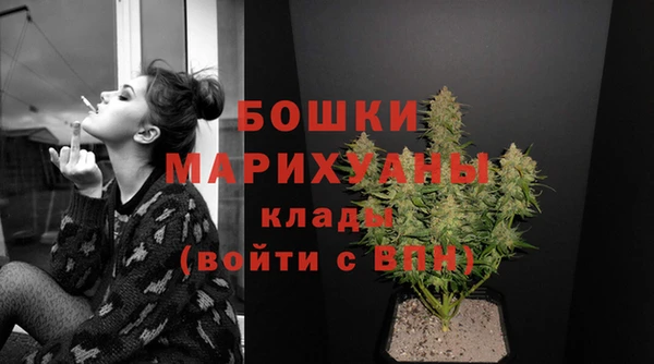 гашик Бородино